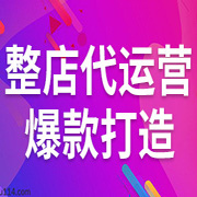 代運(yùn)營標(biāo)準(zhǔn)版半年服務(wù)方案